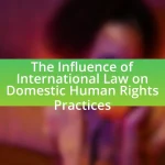 The Influence of International Law on Domestic Human Rights Practices
