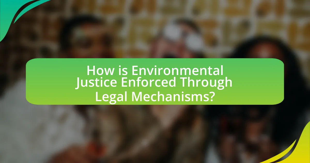 How is Environmental Justice Enforced Through Legal Mechanisms?