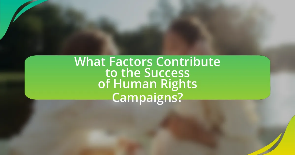 What Factors Contribute to the Success of Human Rights Campaigns?