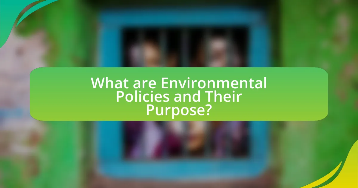What are Environmental Policies and Their Purpose?
