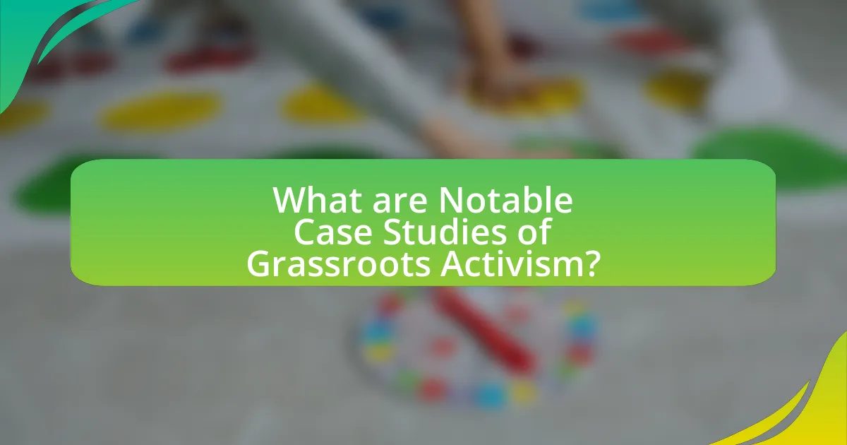 What are Notable Case Studies of Grassroots Activism?