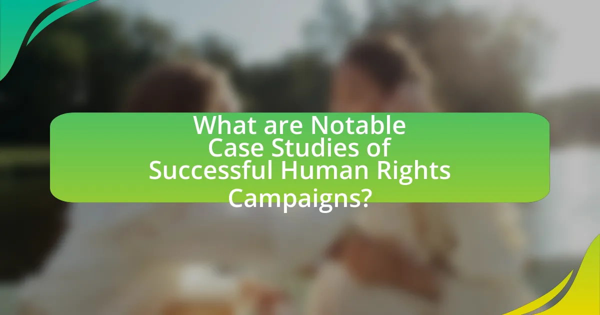 What are Notable Case Studies of Successful Human Rights Campaigns?