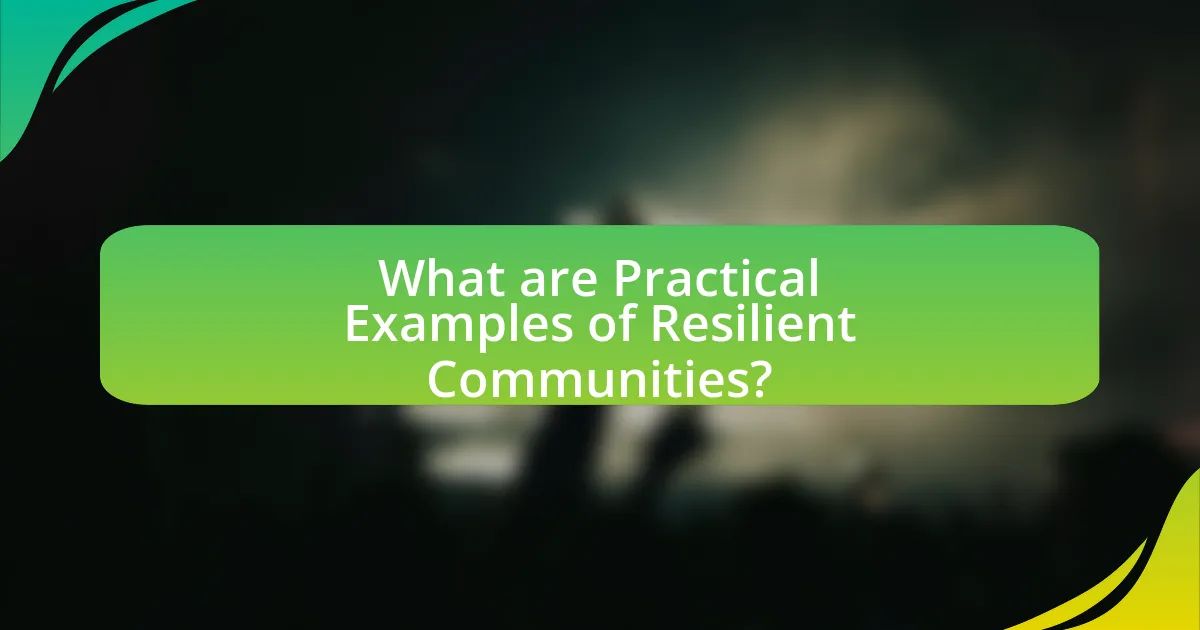 What are Practical Examples of Resilient Communities?