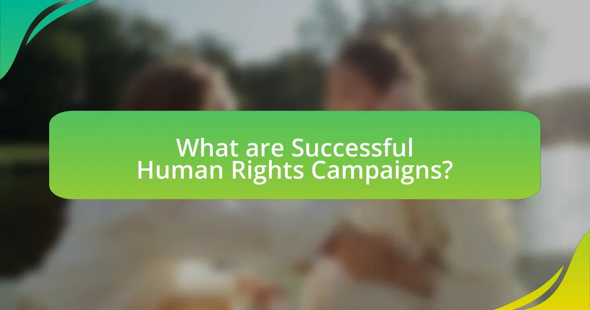 What are Successful Human Rights Campaigns?