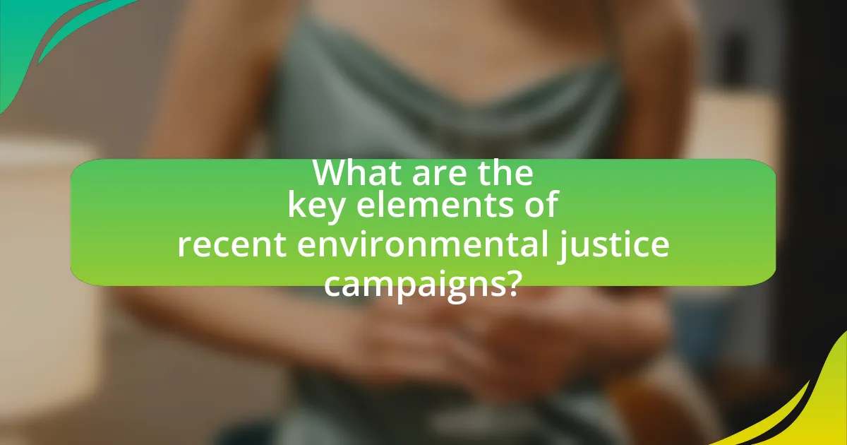 What are the key elements of recent environmental justice campaigns?