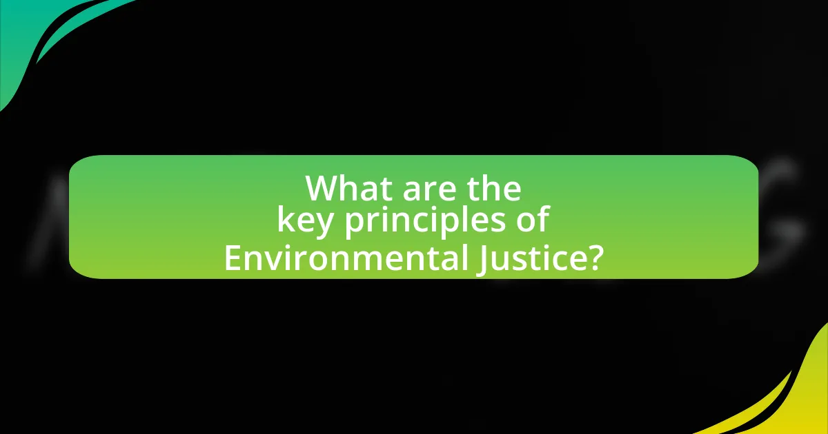 What are the key principles of Environmental Justice?