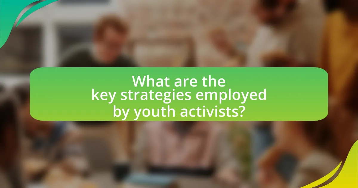What are the key strategies employed by youth activists?