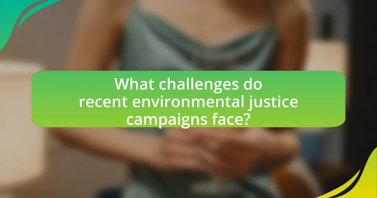 What challenges do recent environmental justice campaigns face?