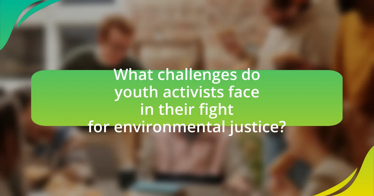 What challenges do youth activists face in their fight for environmental justice?