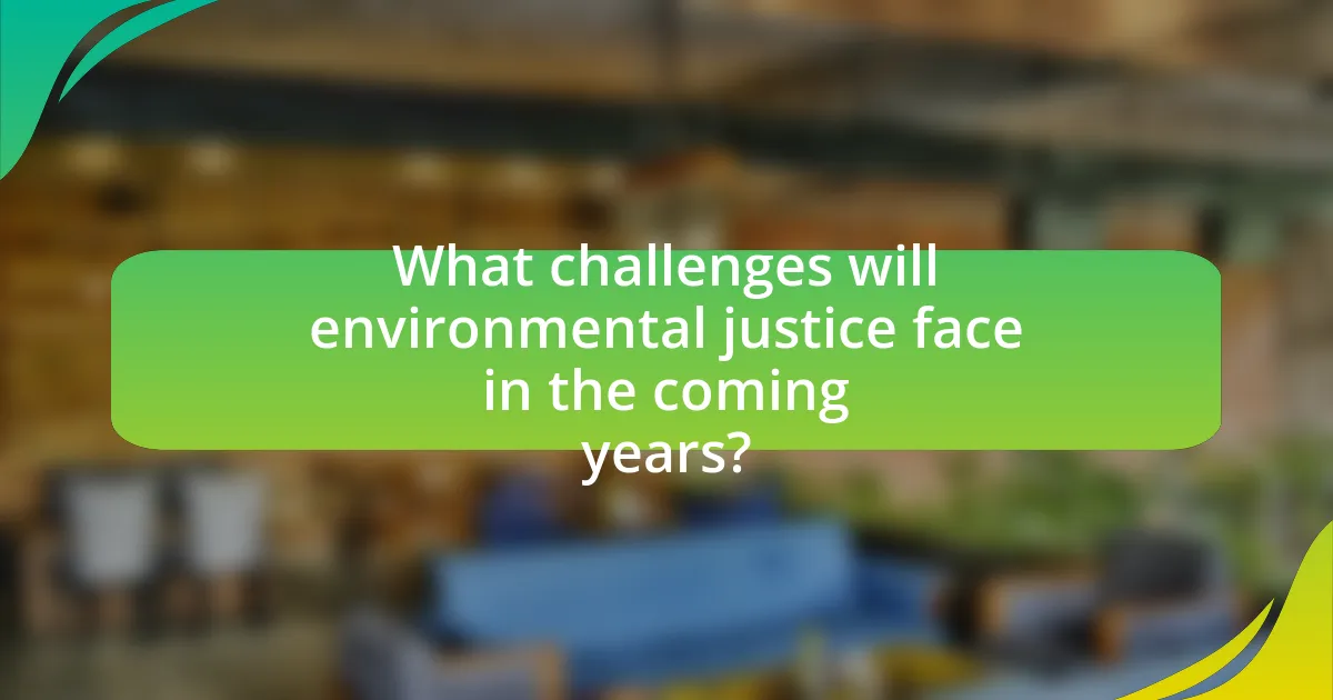 What challenges will environmental justice face in the coming years?