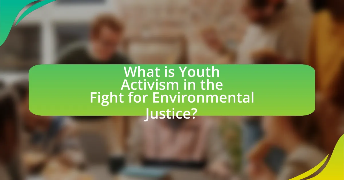 What is Youth Activism in the Fight for Environmental Justice?