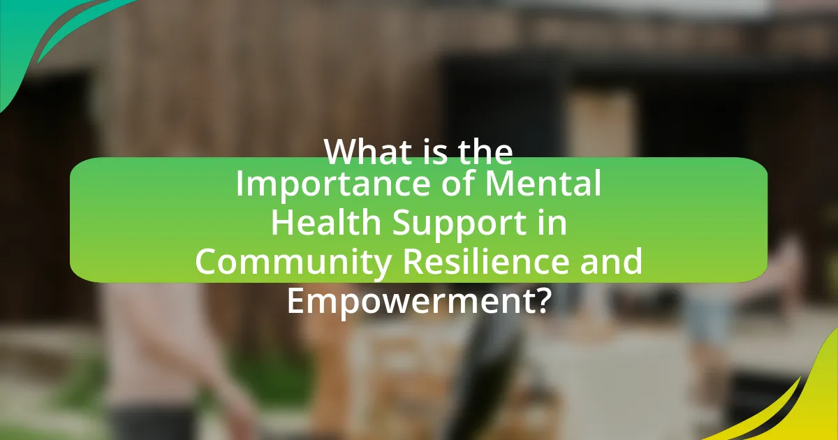 What is the Importance of Mental Health Support in Community Resilience and Empowerment?