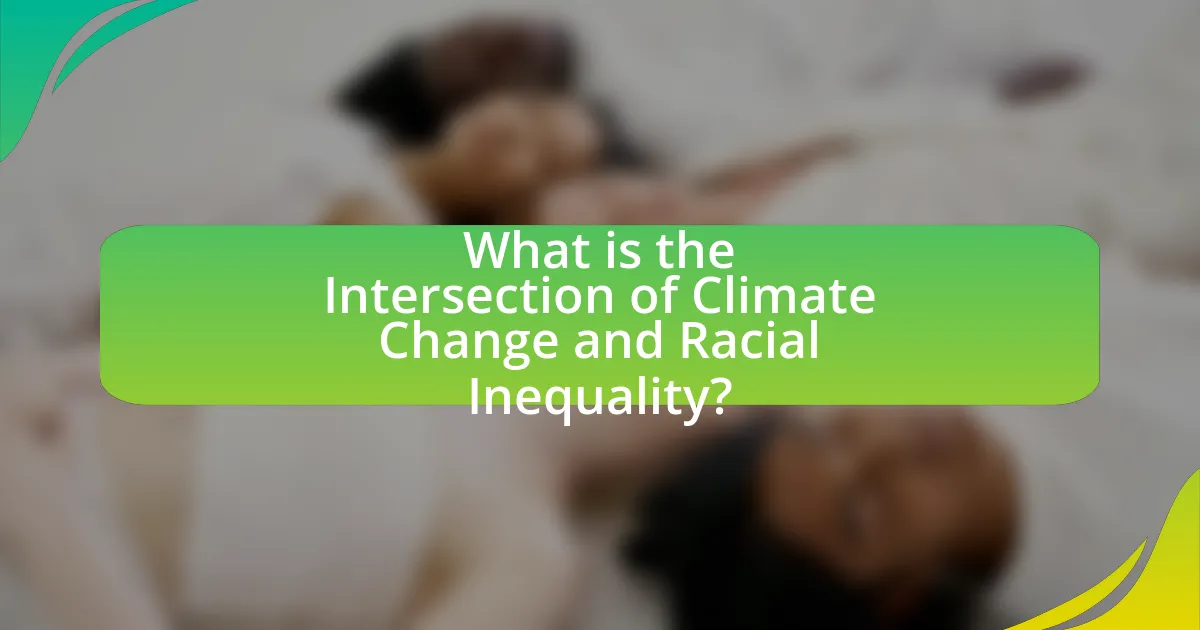 What is the Intersection of Climate Change and Racial Inequality?